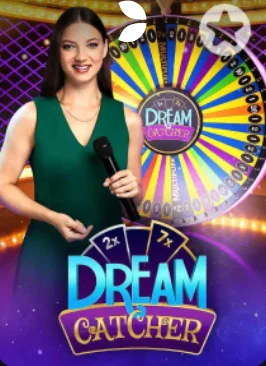 d333bet com